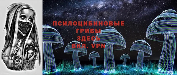 PSILOCYBIN Богородск